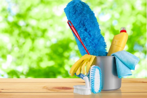 Local home cleaning service for Chelsea properties and apartments