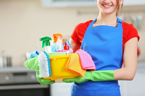 Professional oven cleaning service for a Chelsea kitchen