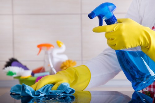Local sofa cleaning service inspecting upholstered furniture in Chelsea