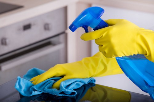 Deep cleaning an oven rack and interior in Chelsea