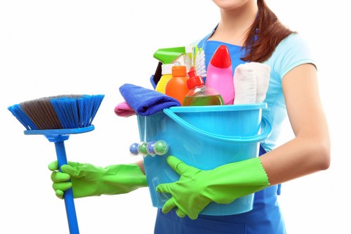 Illustration representing structured accessible content for Chelsea cleaning information