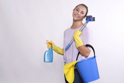 Oven cleaning service for a Chelsea household or rental property