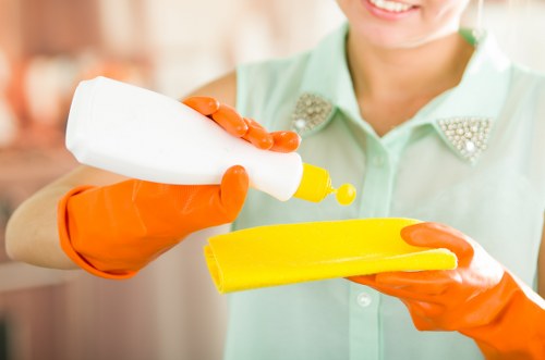 End of tenancy and property deep clean service