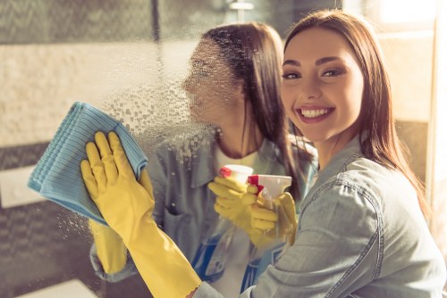Thorough bathroom cleaning and sanitation in Chelsea