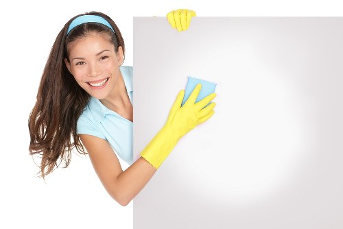 Professional cleaner treating a carpet in a Chelsea flat