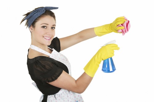 SSL encryption protecting a Deep Cleaning Chelsea transaction