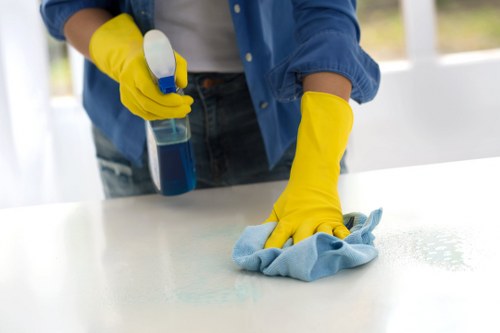 Regular home cleaning service in Chelsea near King's Road